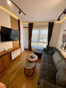 a living room with a couch and a flat screen tv at Magnet 12 in Zlatibor