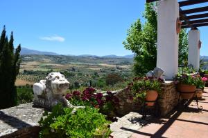 Widok na góry z tego obiektu B&B