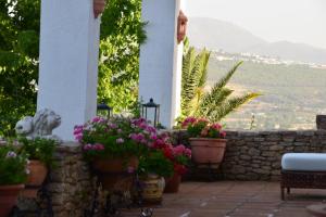 Widok na góry z tego obiektu B&B