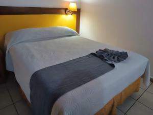 Postel nebo postele na pokoji v ubytování Hotel Pez Vela