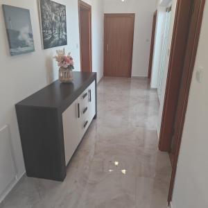 Kuchnia lub aneks kuchenny w obiekcie Apartmani Sandra Malinska