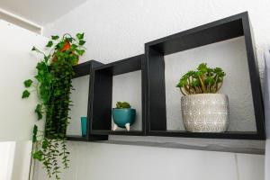Fotografie z fotogalerie ubytování Appartement v destinaci Les Abymes