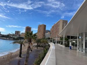 a view of a beach with palm trees and buildings at New,mountain & sea view 3 guests with private Garage in Beausoleil