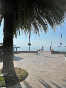 eine Palme am Strand in der Unterkunft Appartamento Vista Lago! in Gardone Riviera