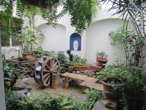 Imagen de la galería de Hotel Villa Serena San Benito, en San Salvador