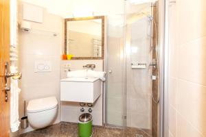 a bathroom with a toilet and a shower at Ferienwohnung Rosendahl in Reit im Winkl +17 photos