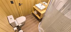 mit Blick auf ein Bad mit WC und Waschbecken in der Unterkunft alquiler temporario en villa la angostura in Villa La Angostura