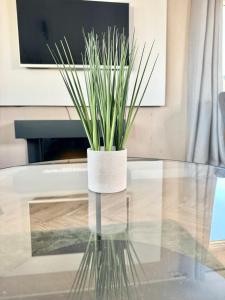 a potted plant sitting on top of a glass table at Miarlo Lodge Derwent Haven Lakeland in Grange Over Sands