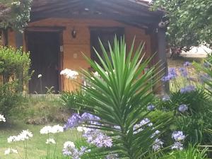 Giardino di Vale do Piemonte - Chalé com hidromassagem -