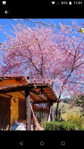 Giardino di Vale do Piemonte - Chalé com hidromassagem -