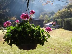 Giardino di Vale do Piemonte - Chalé com hidromassagem -