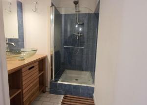 鲁西隆地区卡内Studio Cozy en Bord de Plage avec Vue Mer et Wifi的带淋浴、水槽和淋浴的浴室