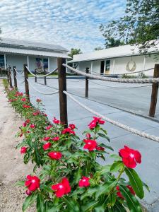 Φωτογραφία από το άλμπουμ του Pousada Flores do Jalapão σε Sao Felix do Tocantins