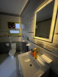 Koupelna v ubytování Families Inn