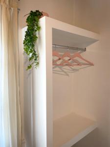 a green plant on a shelf in a closet at Departamento Azul in Azul