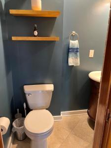 un bagno con un water bianco e un lavandino di Trendy Craftsman Studio with Firepit and Laundry! a Willmar