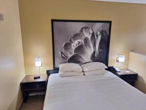 Postel nebo postele na pokoji v ubytování Super 8 by Wyndham Weslaco