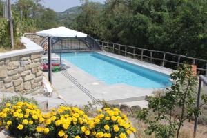 a swimming pool with an umbrella and some flowers at Agriturismo Villa Cheti in Spigno Monferrato