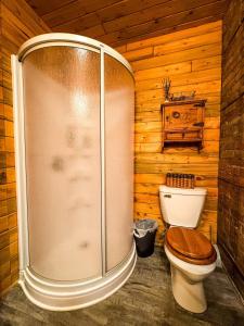 a bathroom with a shower and a toilet in a cabin at MY PLACE! Luxury 2 Bed with piano! in Willmar