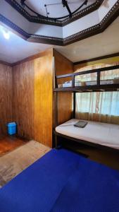 Rúm í herbergi á Screaming Gecko Hostel