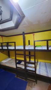 Rúm í herbergi á Screaming Gecko Hostel