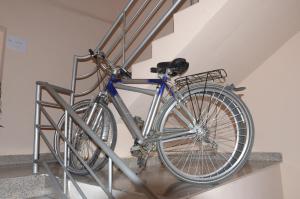 Катание на велосипеде по территории StarHostel или окрестностям