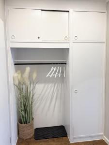 a closet with white cabinets and a potted plant at Germania-54 in Böhl +14 photos
