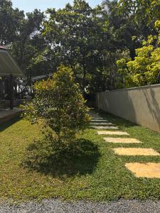 Κήπος έξω από το Palm Beach Kamburugamuwa