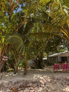 Κήπος έξω από το Palm Beach Kamburugamuwa