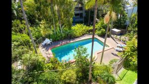 サンシャインビーチにある6 Pacific Outlook Modern unit with lovely Ocean Views Pool in Complex Walk to Beachのヤシの木のあるプールの上空からの眺め