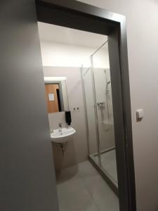 Hotel a ubytovna Zimní stadion Slaný的一间浴室