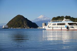 沼津市にあるNumazu Sparkleの山を背景に水中の大型船