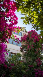 a building with pink flowers in front of it at Patron Hotel in Antalya