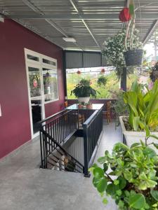 Balkón nebo terasa v ubytování Khôi Homestay + 3 fotografie