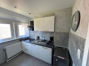 Η κουζίνα ή μικρή κουζίνα στο Ferienhaus