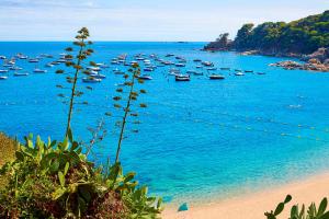 Fotografie z fotogalerie ubytování 2Vick01 v destinaci Calella de Palafrugell