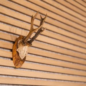 Fotografie z fotogalerie ubytování Waldbewohner Apartments / Fuchs v destinaci Ilsenburg