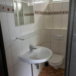 a bathroom with a sink and a toilet at Bungalow Zandzegge | 4 personen - Vakantiepark De Kremmer in Gasselte +12 photos