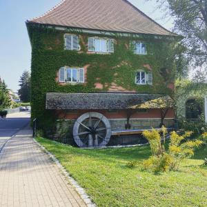 Zahrada ubytování Hotel Hofmann Zur Mühle