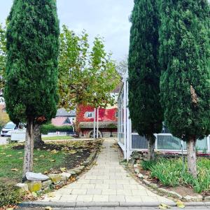 Zahrada ubytování Hotel Hofmann Zur Mühle