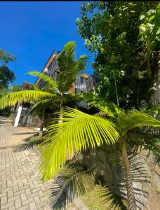 Un jardín fuera de Recanto dos Containers