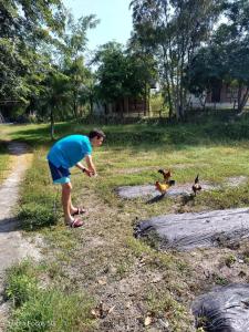 Afbeelding uit fotogalerij van Bannuea Local Life in Ban Nam Lat +38 foto's