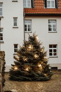 a christmas tree with lights in front of a house at Gutshof zu Quedlinburg in Quedlinburg