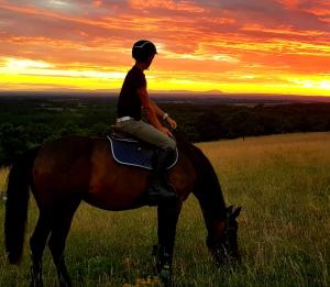 a person riding a horse in a field at sunset at Green Village House in Ganna