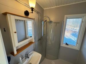 a bathroom with a shower and a sink and a mirror at Hus Hornsö in Blomstermåla +30 photos