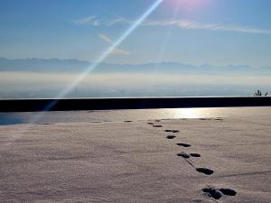 a group of footprints in the sand on the beach at Villa Revere - luksus w sercu Podhala in Nowy Targ
