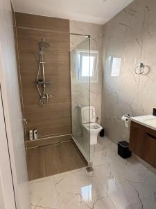 a bathroom with a shower with a toilet and a sink at Elias house in Tríkala +5 photos