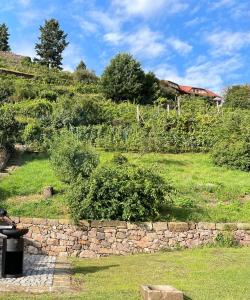 a garden with a stone wall and a grassy hill at Studio-Apartment im Weinberg in Meißen