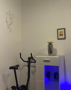 a room with a bike and a vase on the wall at Luxe Central Living Apartment in Debrecen