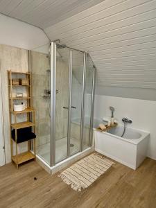 a bathroom with a shower and a sink at Appartements Zum Weißen Hahn in Bad Zwischenahn